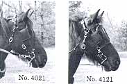 Bridles